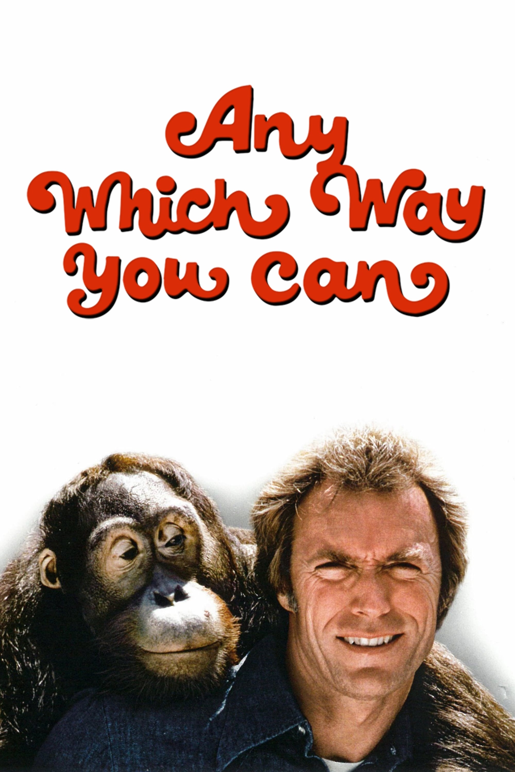 Any Which Way You Can (1980)