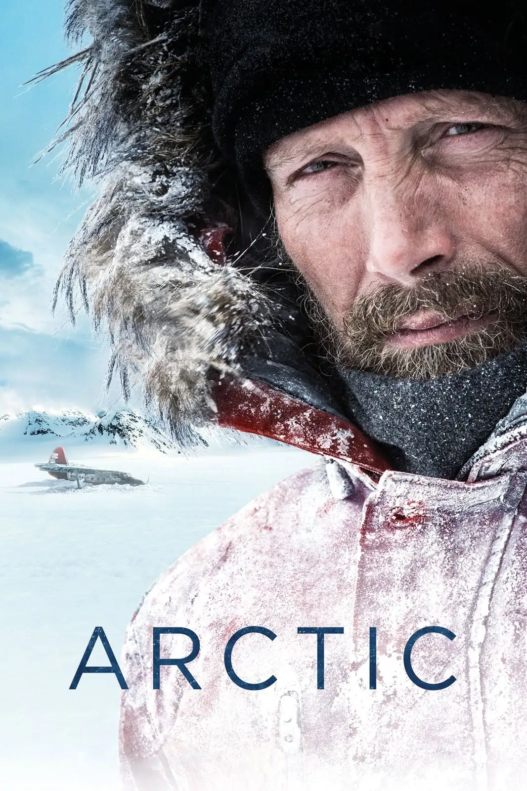 Arctic (2018)