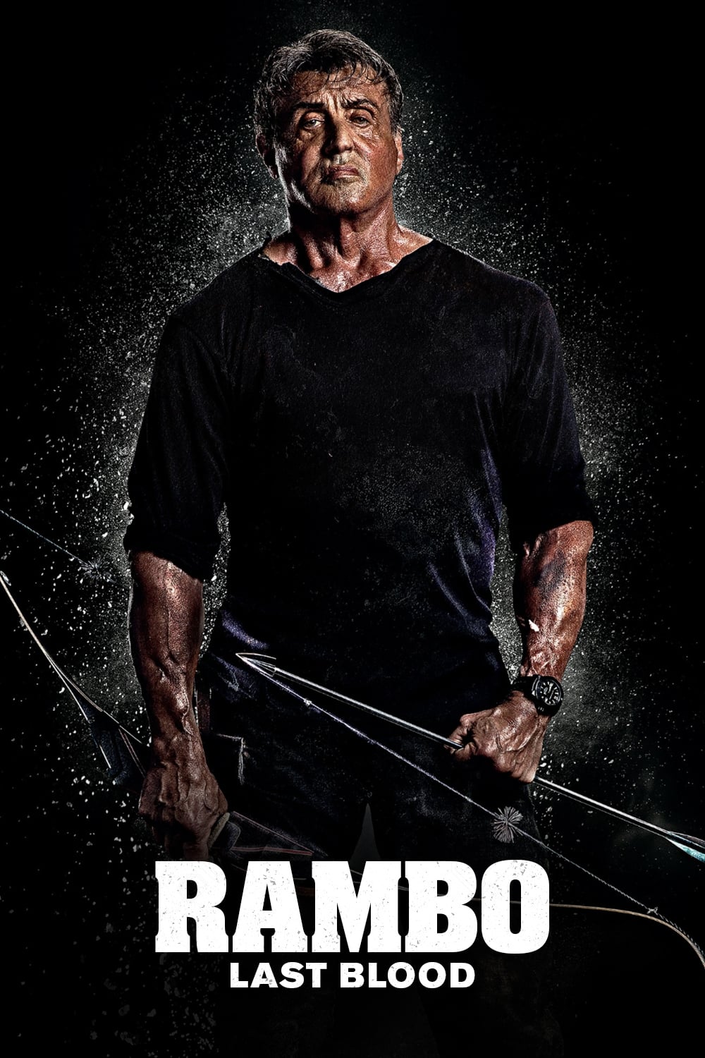 Rambo: Last Blood (2019)