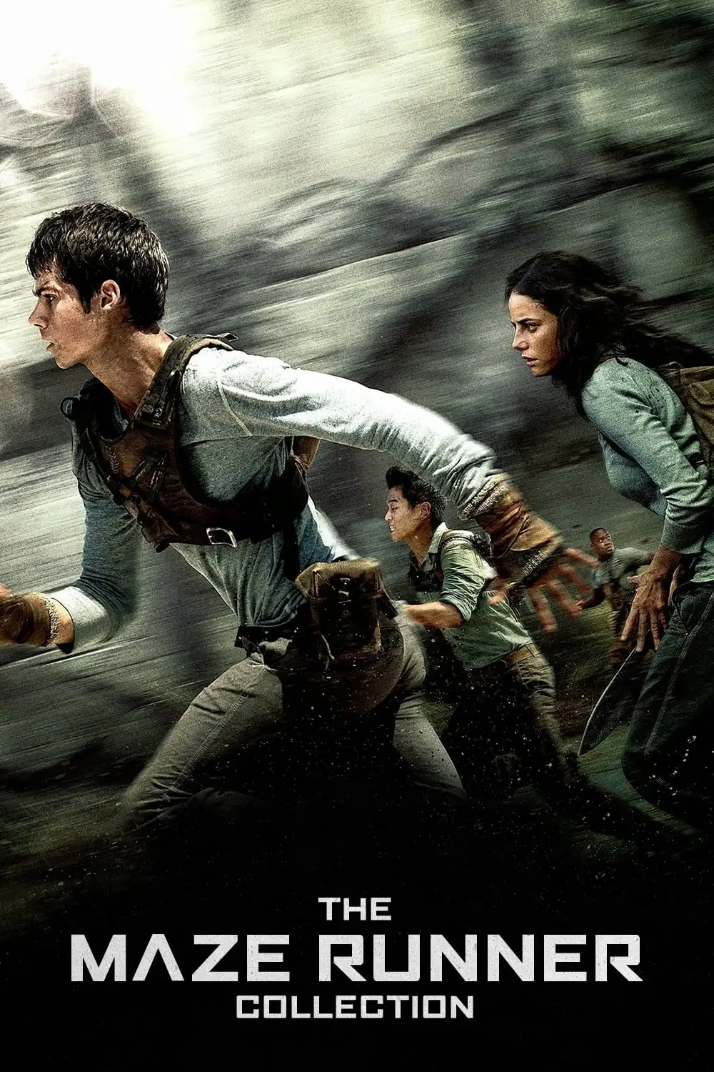 The Maze Runner Collection